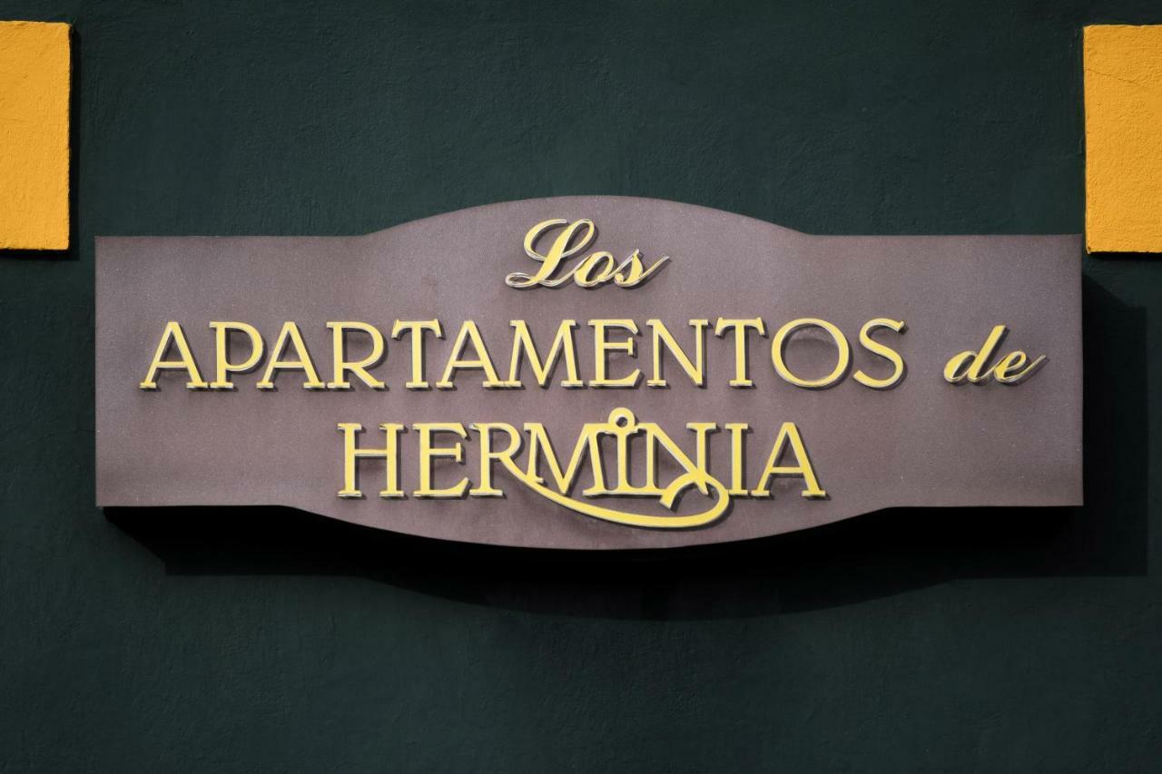 Apartamentos De Herminia Manzaneda  Kültér fotó